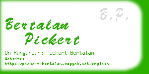 bertalan pickert business card